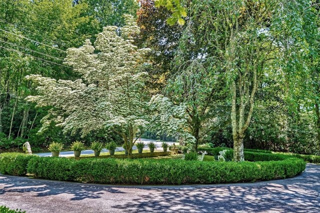 236 Hemlock Woods Dr, Highlands, NC 28741 - view of home's community featuring a view of trees