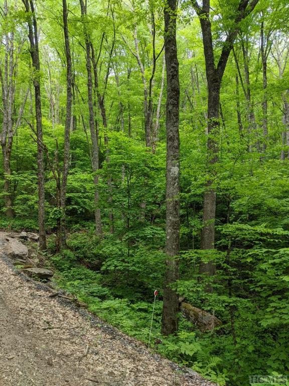 0 Buck Knob Rd, Cullowhee NC, 28723 land for sale