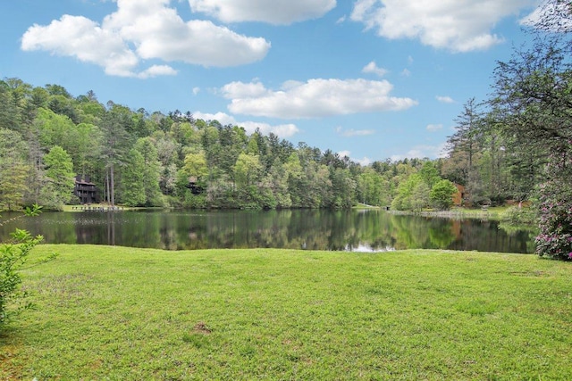 383 Wild Game Trl Unit D, Sapphire, NC 28774 - view of grassy yard featuring a water view and a wooded view