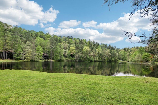 383 Wild Game Trl Unit D, Sapphire, NC 28774 - water view with a forest