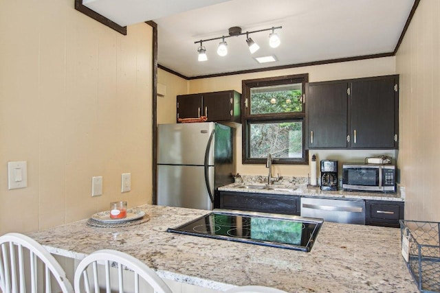 383 Wild Game Trl Unit D, Sapphire, NC 28774 - kitchen featuring stainless steel appliances, a sink, light stone counters, and crown molding