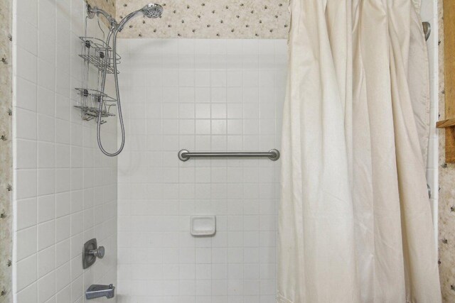 383 Wild Game Trl Unit D, Sapphire, NC 28774 - full bath with shower / bathtub combination with curtain