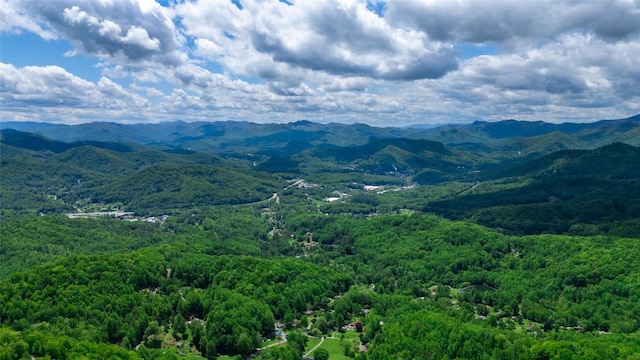 mountain view featuring a forest