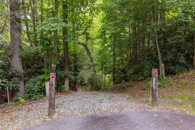 214 Sunset Ct, Sapphire, NC 28774 - photo 8