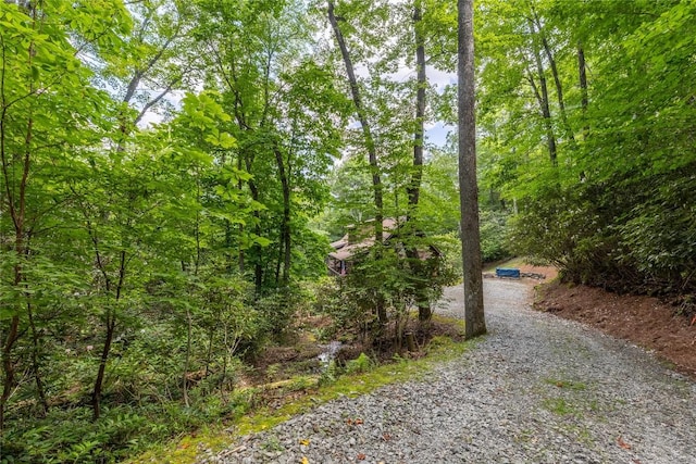 214 Sunset Ct, Sapphire, NC 28774 - photo 12