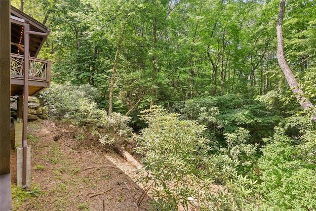 214 Sunset Ct, Sapphire, NC 28774 - photo 72