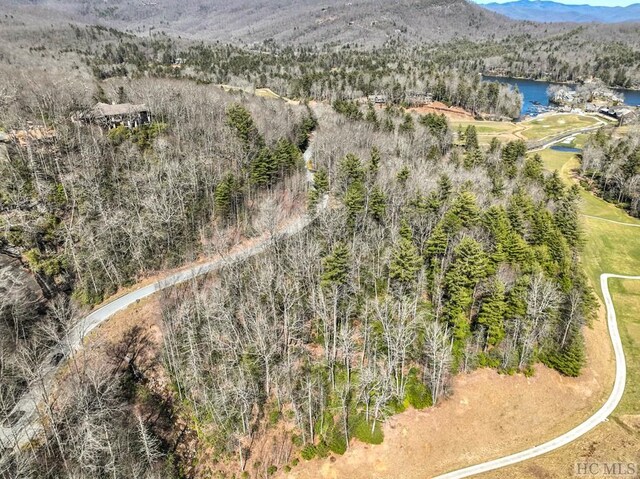 K30 Chestnut Trce, Lake Toxaway, NC 28747