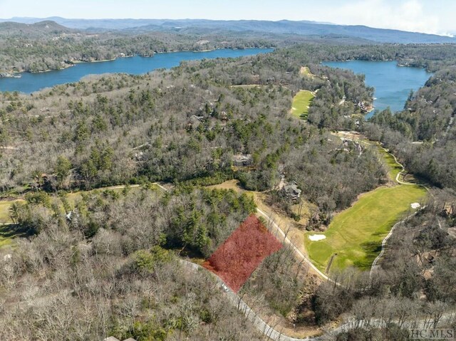 K30 Chestnut Trce, Lake Toxaway, NC 28747