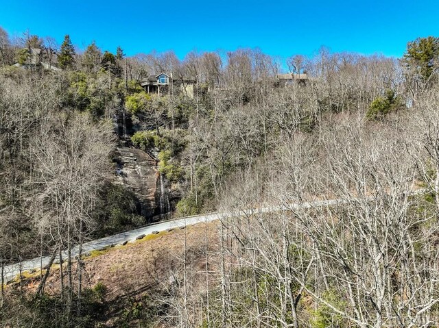 K30 Chestnut Trce, Lake Toxaway, NC 28747