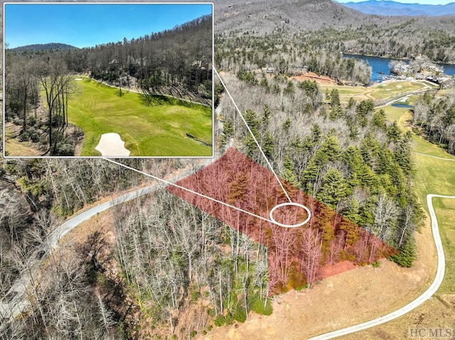 K30 Chestnut Trce, Lake Toxaway, NC 28747