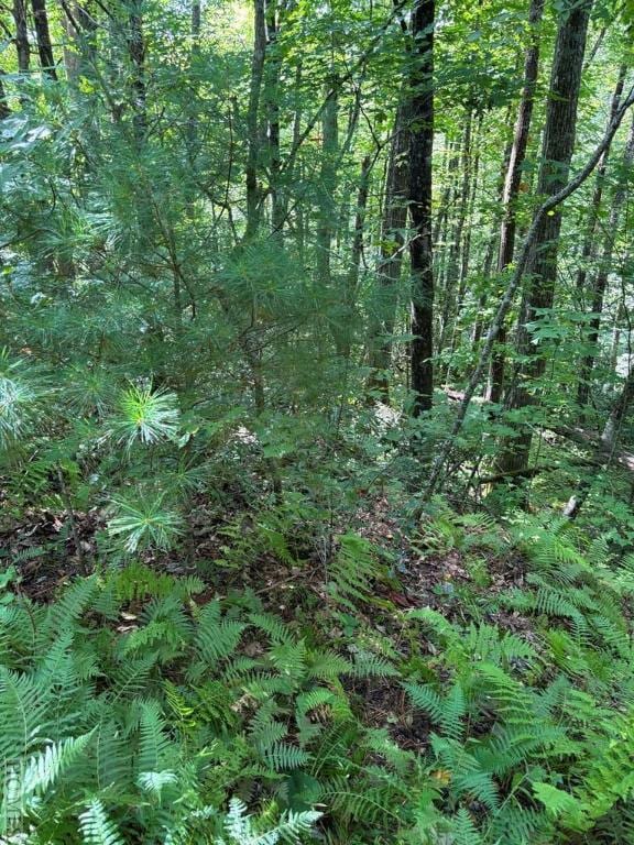 Listing photo 2 for LOT18 Sourwood Ct, Sapphire NC 28717