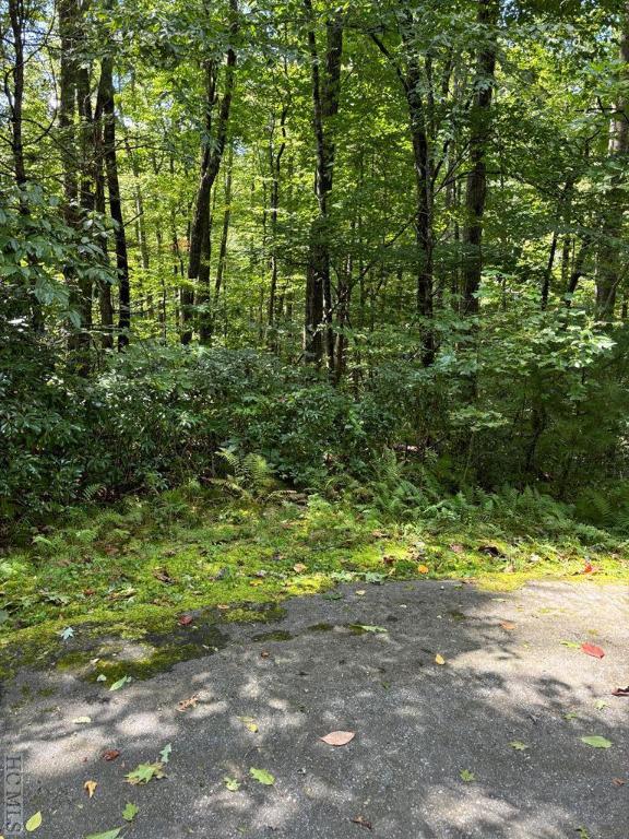 LOT18 Sourwood Ct, Sapphire NC, 28717 land for sale