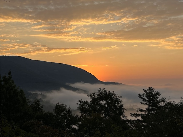 mountain view