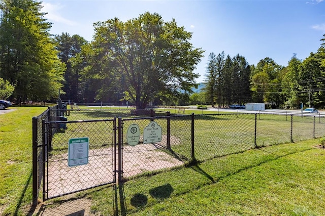 view of yard featuring a dog friendly area
