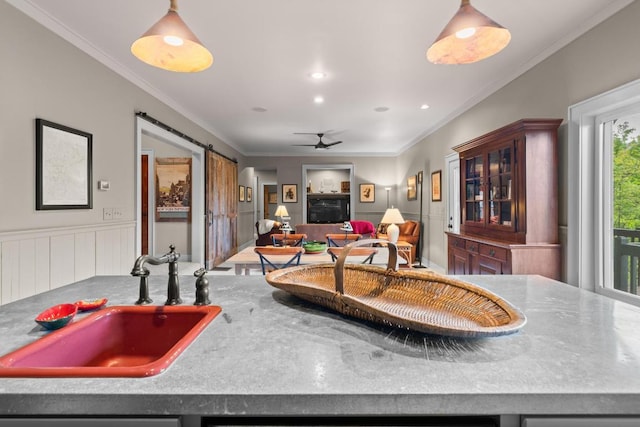 kitchen featuring a sink, a barn door, ornamental molding, wainscoting, and a ceiling fan