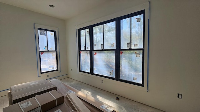 spare room with a wealth of natural light