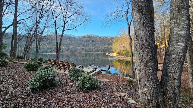 property view of water featuring a forest view and a boat dock