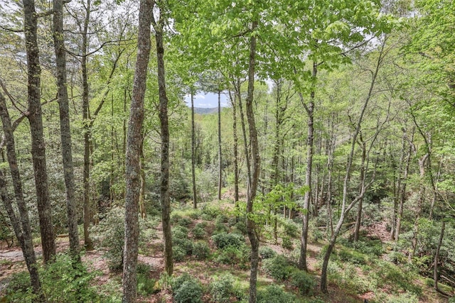 view of nature with a view of trees