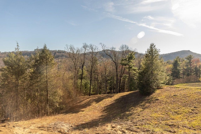 164 Wildcat Ln, Cashiers, NC 28717 - view of mountain feature featuring a forest view