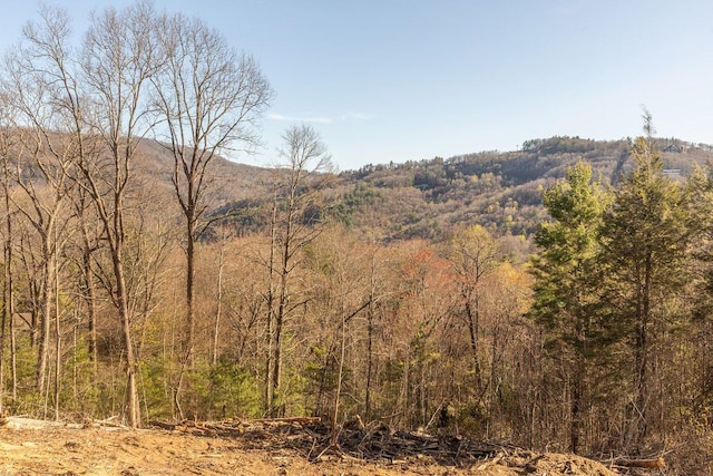 164 Wildcat Ln, Cashiers, NC 28717 - mountain view with a wooded view