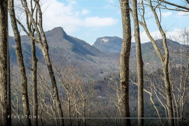 9LOTS Trussing Ter, Sapphire, NC 28774