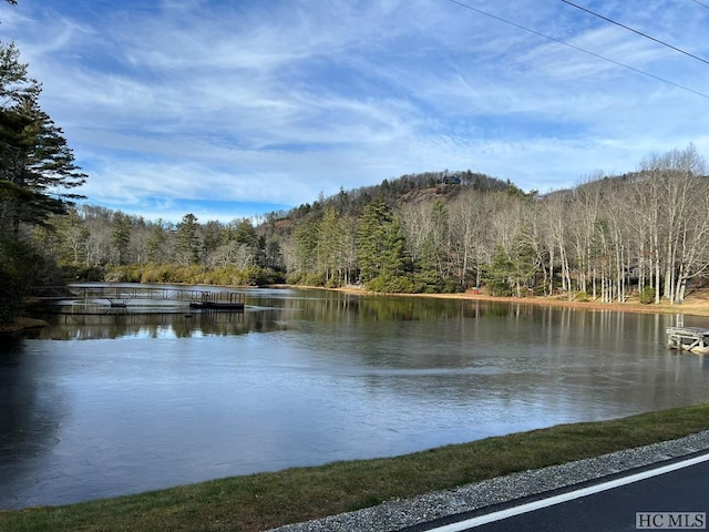 property view of water