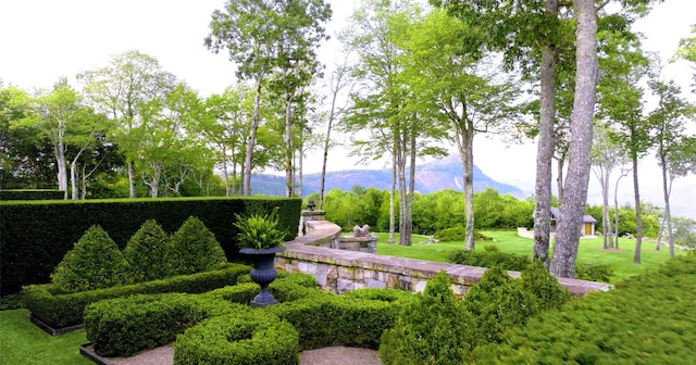 581 Sagee Woods Dr, Highlands, NC 28741 - view of community featuring a mountain view and a lawn