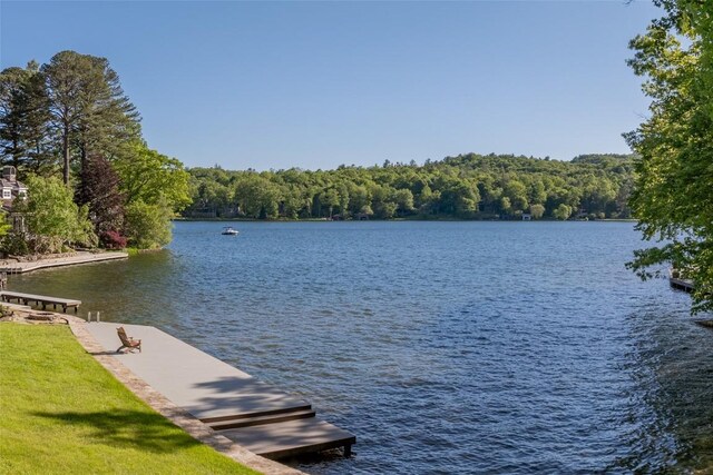 905 Cold Mountain Rd, Lake Toxaway, NC 28747 - photo 61