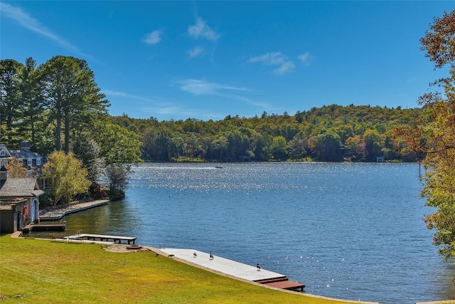 905 Cold Mountain Rd, Lake Toxaway, NC 28747 - photo 50