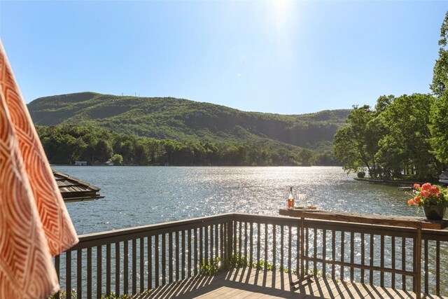 905 Cold Mountain Rd, Lake Toxaway, NC 28747 - photo 45