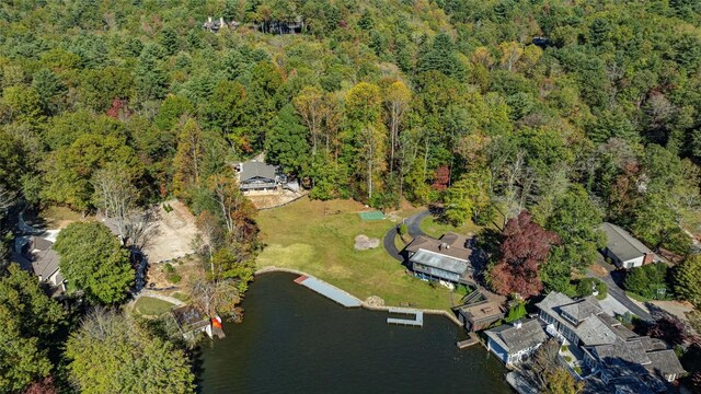 905 Cold Mountain Rd, Lake Toxaway, NC 28747 - photo 34