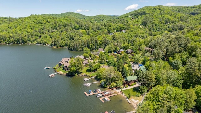 18 Buck Knob Is, Glenville, NC 28723 - drone / aerial view of a heavily wooded area and a large body of water