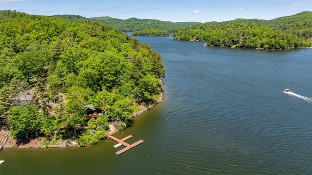 18 Buck Knob Is, Glenville, NC 28723 - aerial view of a forest and a nearby body of water