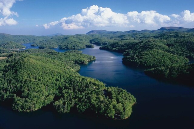 99 Springhead Trl, Cullowhee, NC 28723 - birds eye view of property featuring a wooded view and a water and mountain view