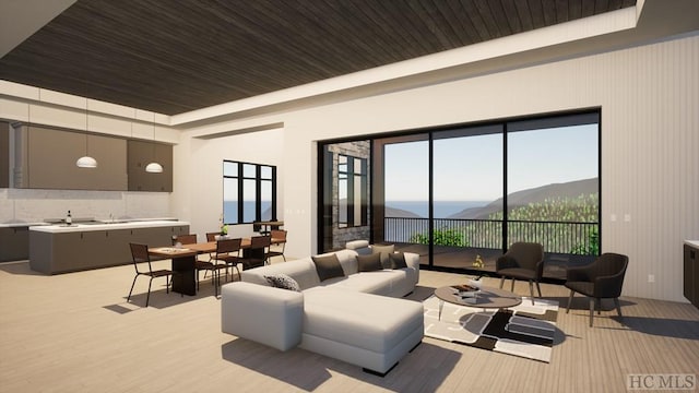 living room with a mountain view and light hardwood / wood-style floors