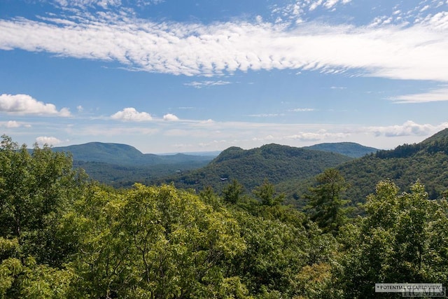 property view of mountains