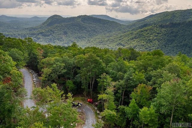 property view of mountains