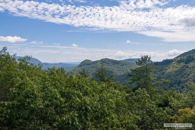 view of mountain feature