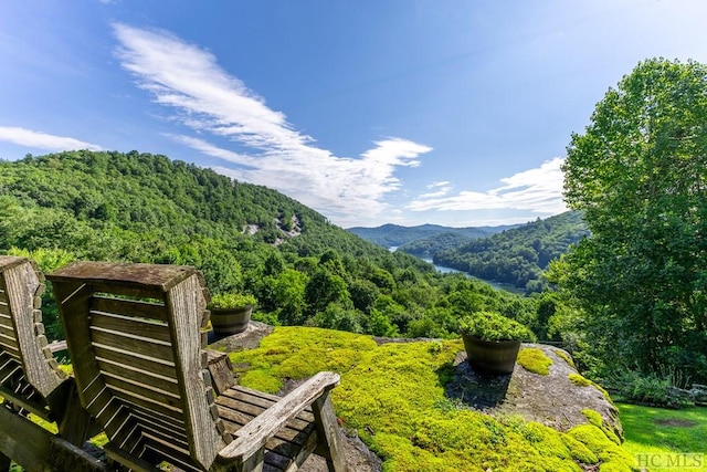 view of mountain feature