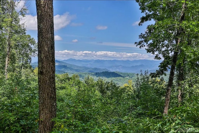 property view of mountains