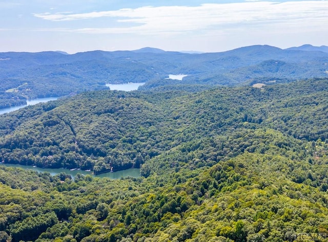 view of mountain feature featuring a water view