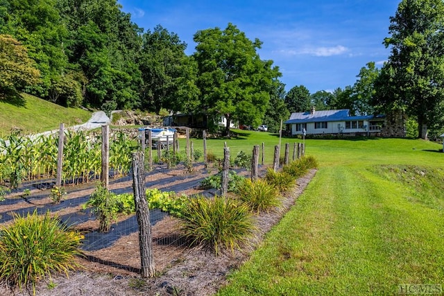 view of community featuring a yard