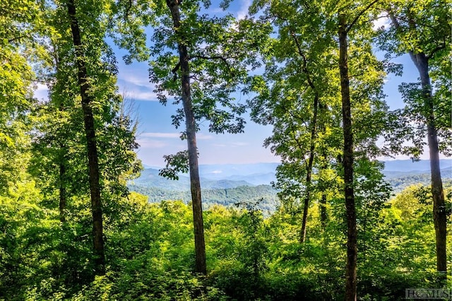 view of nature featuring a mountain view