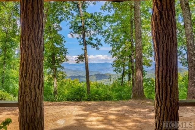 view of nature featuring a mountain view