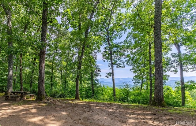 view of local wilderness featuring a mountain view