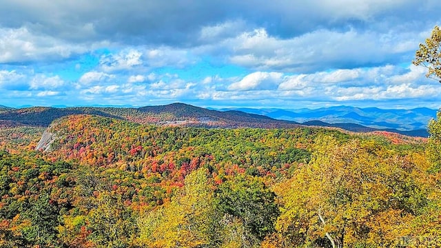 view of mountain feature