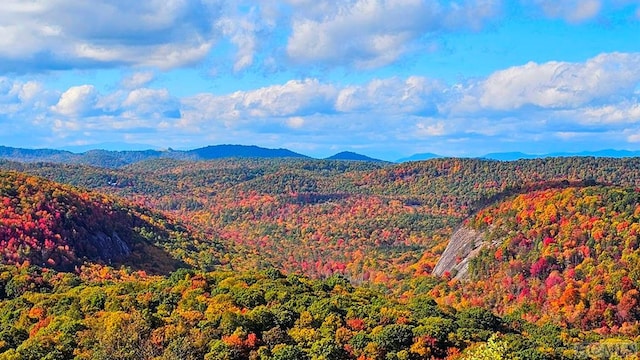 view of mountain feature