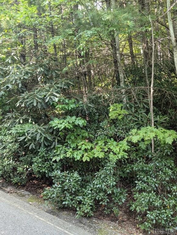 Listing photo 2 for LOT116 Buckberry Dr N, Sapphire NC 28774