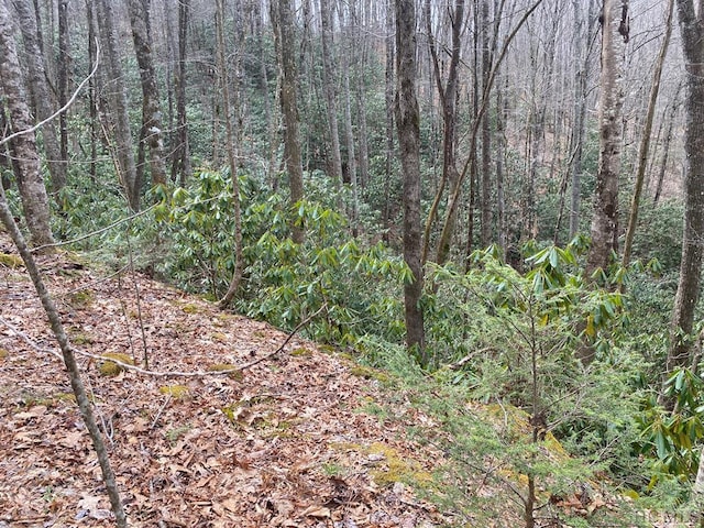 Listing photo 2 for LOT2 Lake Ridge Ln, Topton NC 28781