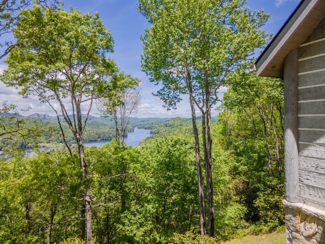 57 Loch Dr, Glenville, NC 28736 - water view featuring a forest